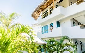 El Sho - Hotel orgánico